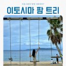 후쿠오카 근교 이토시마 여행 마지막 팜 트리 스윙과 일본 전통놀이 수박깨기(스이카와리)