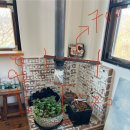 루트 개러지 | 유럽 살던 사람의 왐 벽난로 한 달 사용 후기