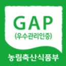 아름농장 | 광주 블루베리 체험 가능한곳 따뜻한하루 블루베리 농장 방문후기
