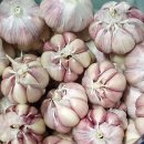 성실축산 이미지