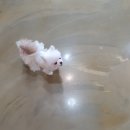 포포앤미루 강동점 이미지