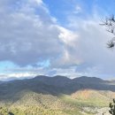 대각사 | 교토 여행 4탄｜대각사·아라시야마 추천 후기 + 회전초밥 솔직 리뷰