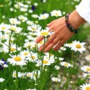 도림민박 이미지