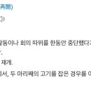 재개<再開>