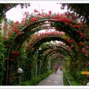 묵동-007 이미지