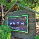 금동산야