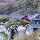 금산중고등학교 | 순창 구암사
