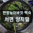 양지말농장 | 춘천 서면 맛집 : 얼큰한 닭도리탕과 국물이 끝내주는 한방능이백숙!★[양지말 백숙]