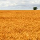 노인심리상담사 이미지