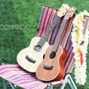 우쿨렐레(중급) 이미지