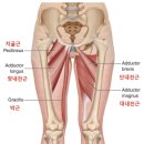 유핏 이미지