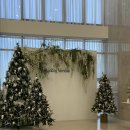 씨밀레 | 대구 웨딩메르디앙 다소니홀 씨밀레홀 하객후기