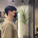 위례머리잘하는곳 포레스타스프링위례 프리미엄살롱 남자 다운펌 후기
