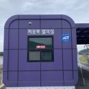 [전라남도 여행]신안군 퍼플교반월도/ 박지도/ 퍼플섬 방문후기