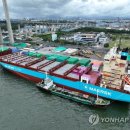 해운약국 이미지