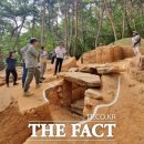 초촌리 고분군 이미지