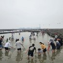 해양치유시티투어 네이버블로그