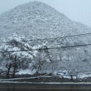 샾 펜션 이미지