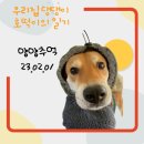 샘 호떡 이미지