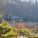 세종전통장류박물관 이미지