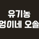 빨강부엉이 이미지