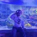 해맑은 수산 이미지