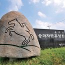 보현산자연휴양림 산 이미지