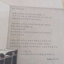 전하는도서관 | 『편지가게 글월』 감상후기, 백승연-손글씨로 전하는 따뜻한 위로와 공간의 이야기