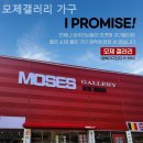 모제갤러리 | 평택가구단지 모제갤러리 가구 내추럴 심플 인테리어 가구