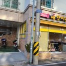 애니원애견미용 이미지