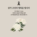 고인 이미지