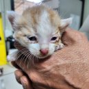 인광농장 이미지