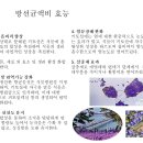 발효농법- 방선균의 뿌리근권의 살충 효과 사례(블루베리, 화훼류) 이미지