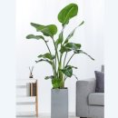 꽃향기 플라워 이미지