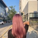 여기.미장원 이미지