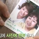나무언니