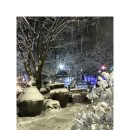 드리밍하우스 이미지