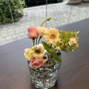 설레인 별 네이버블로그