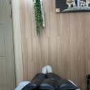 미모힐링카페 네이버블로그