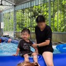 신광면/비학산 | 대구 근교 물놀이 비학산소풍 아이랑 여름휴가 다녀온 솔직 후기