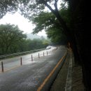 동화사(도학동) 이미지