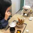 기흥 롯데아울렛 애견동반 식당 펫그라운드 내돈내산 후기