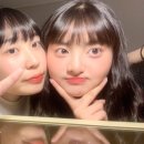 마이댕 이미지
