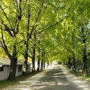 의동마을 이미지