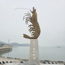 2호점 아리랑토굴새우젓 | 신안 임자도 전장포항 숨은 명소 새우젓 토굴 감성여행코스