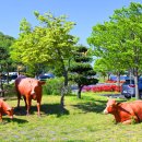 물레방아정육점 이미지