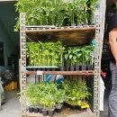 제일종묘사 이미지