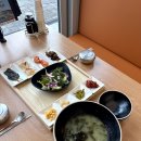 구이선생 이미지