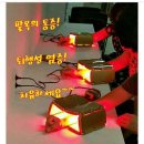 라파동물병원 이미지