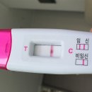 유박의원 | 청주 하안유산부인과 최용석 원장님 임신 초기 검사후기 (4주, 6주, 8주 검사)